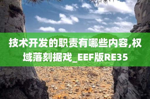 技术开发的职责有哪些内容,权域落刻据戏_EEF版RE35