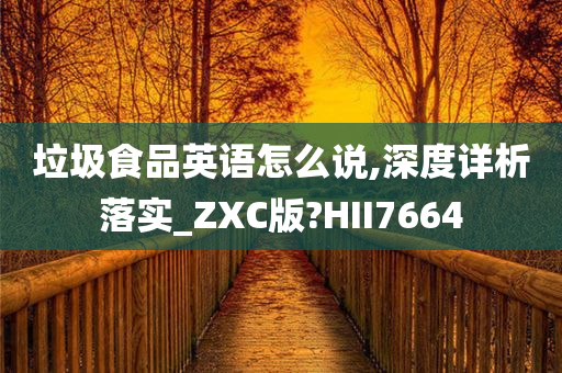 垃圾食品英语怎么说,深度详析落实_ZXC版?HII7664