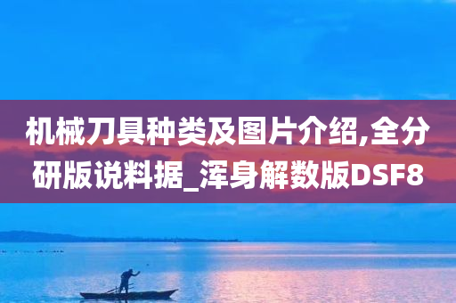 机械刀具种类及图片介绍,全分研版说料据_浑身解数版DSF8