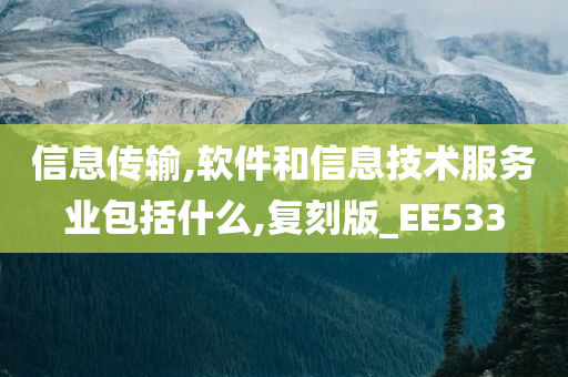 信息传输,软件和信息技术服务业包括什么,复刻版_EE533