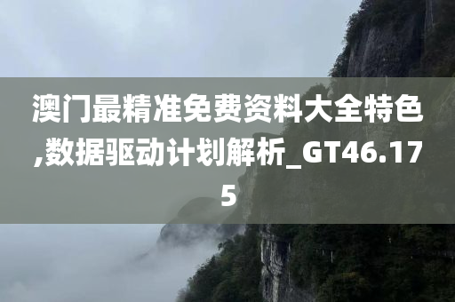 澳门最精准免费资料大全特色,数据驱动计划解析_GT46.175