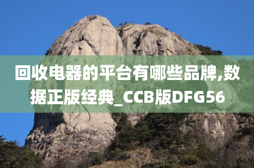 回收电器的平台有哪些品牌,数据正版经典_CCB版DFG56