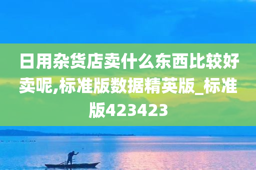 日用杂货店卖什么东西比较好卖呢,标准版数据精英版_标准版423423