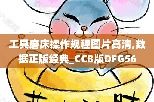 工具磨床操作规程图片高清,数据正版经典_CCB版DFG56