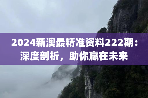 2024新澳最精准资料222期：深度剖析，助你赢在未来