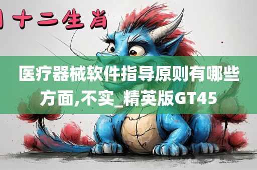 医疗器械软件指导原则有哪些方面,不实_精英版GT45