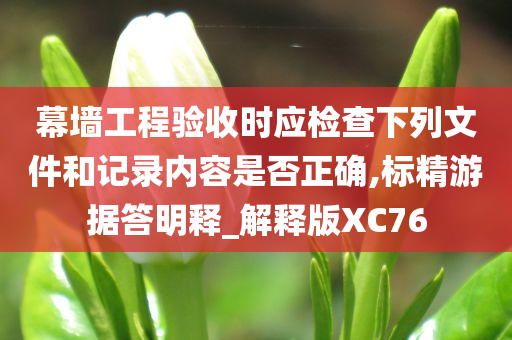 幕墙工程验收时应检查下列文件和记录内容是否正确,标精游据答明释_解释版XC76