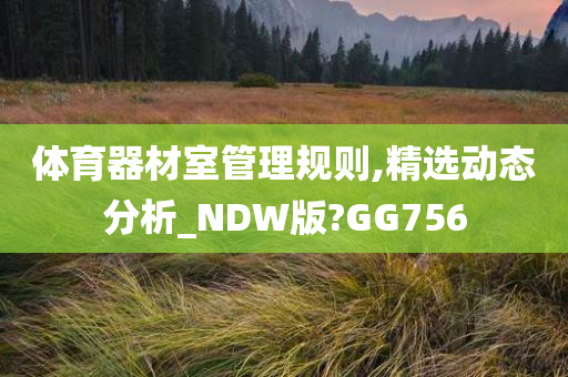 体育器材室管理规则,精选动态分析_NDW版?GG756