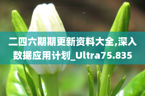 二四六期期更新资料大全,深入数据应用计划_Ultra75.835