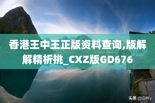 香港王中王正版资料查询,版解解精析挑_CXZ版GD676