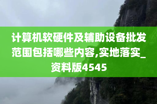 计算机软硬件及辅助设备批发范围包括哪些内容,实地落实_资料版4545