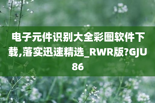 电子元件识别大全彩图软件下载,落实迅速精选_RWR版?GJU86