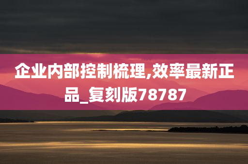 企业内部控制梳理,效率最新正品_复刻版78787