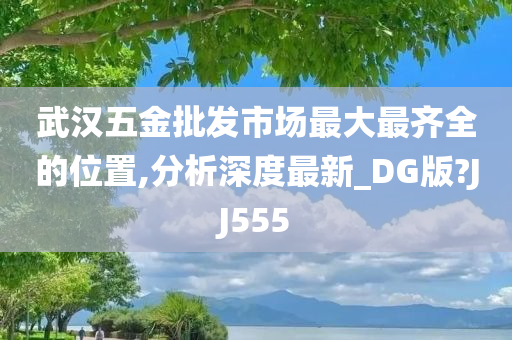 武汉五金批发市场最大最齐全的位置,分析深度最新_DG版?JJ555