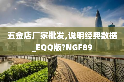 五金店厂家批发,说明经典数据_EQQ版?NGF89