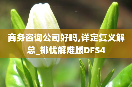 商务咨询公司好吗,详定复义解总_排忧解难版DFS4