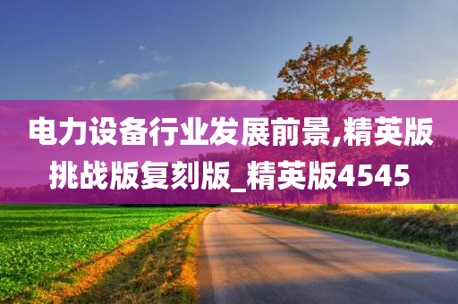 电力设备行业发展前景,精英版挑战版复刻版_精英版4545