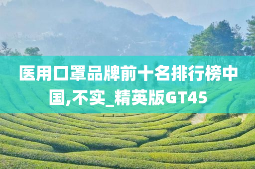 医用口罩品牌前十名排行榜中国,不实_精英版GT45