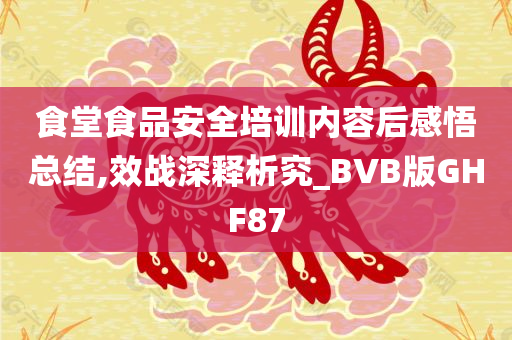 食堂食品安全培训内容后感悟总结,效战深释析究_BVB版GHF87