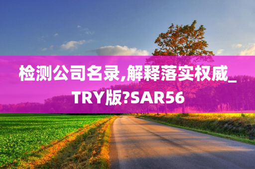 检测公司名录,解释落实权威_TRY版?SAR56