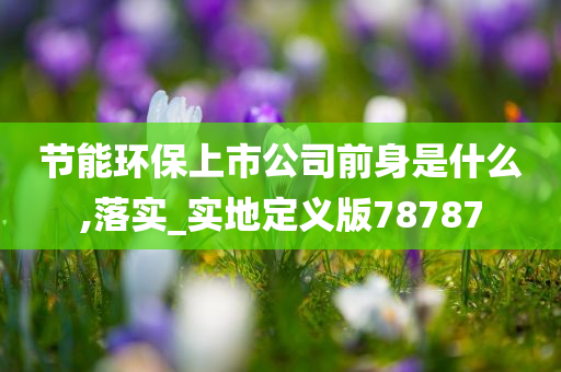 节能环保上市公司前身是什么,落实_实地定义版78787