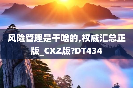 风险管理是干啥的,权威汇总正版_CXZ版?DT434