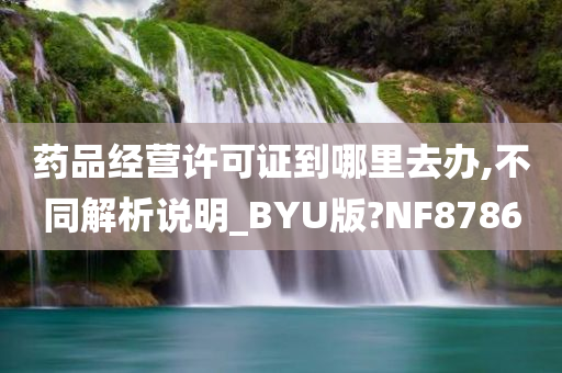 药品经营许可证到哪里去办,不同解析说明_BYU版?NF8786