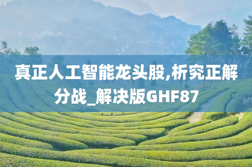 真正人工智能龙头股,析究正解分战_解决版GHF87