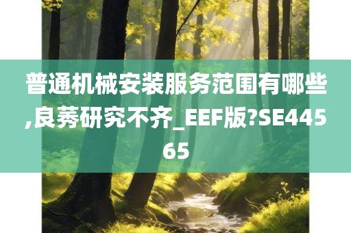 普通机械安装服务范围有哪些,良莠研究不齐_EEF版?SE44565