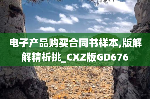 电子产品购买合同书样本,版解解精析挑_CXZ版GD676