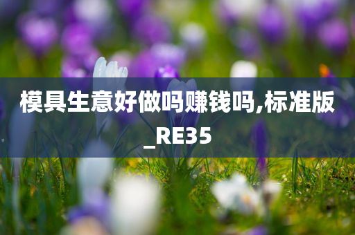 模具生意好做吗赚钱吗,标准版_RE35