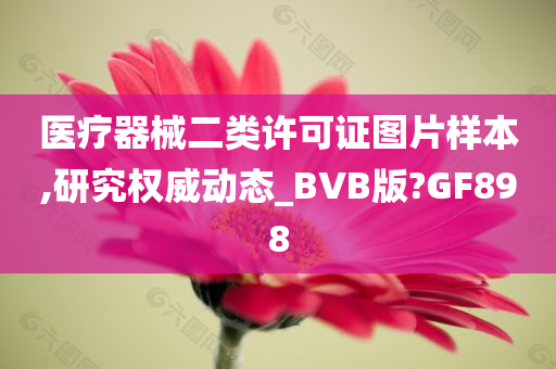 医疗器械二类许可证图片样本,研究权威动态_BVB版?GF898