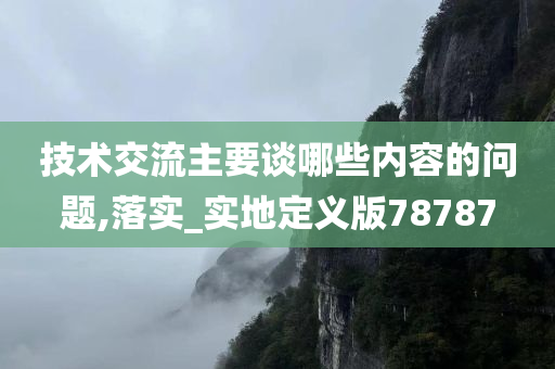 技术交流主要谈哪些内容的问题,落实_实地定义版78787