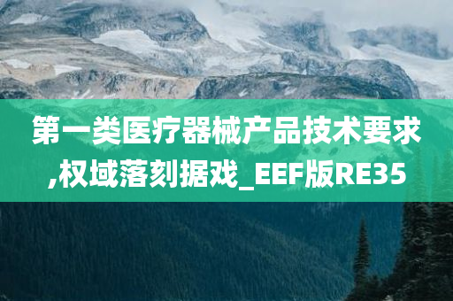 第一类医疗器械产品技术要求,权域落刻据戏_EEF版RE35