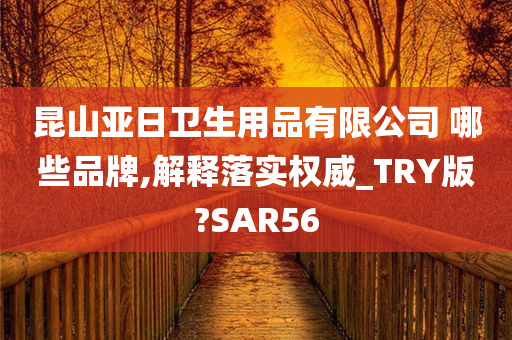 昆山亚日卫生用品有限公司 哪些品牌,解释落实权威_TRY版?SAR56