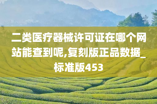 二类医疗器械许可证在哪个网站能查到呢,复刻版正品数据_标准版453