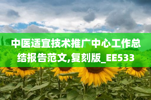 中医适宜技术推广中心工作总结报告范文,复刻版_EE533