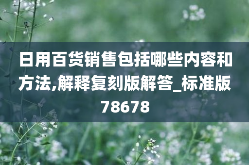 日用百货销售包括哪些内容和方法,解释复刻版解答_标准版78678