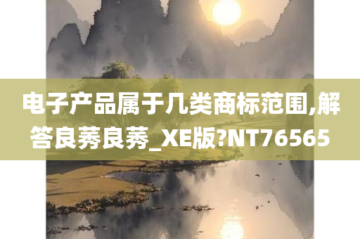 电子产品属于几类商标范围,解答良莠良莠_XE版?NT76565