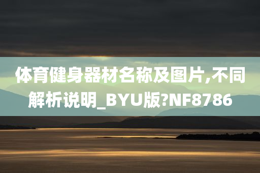 体育健身器材名称及图片,不同解析说明_BYU版?NF8786