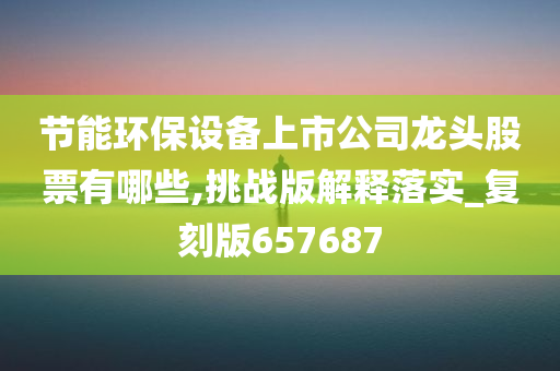 节能环保设备上市公司龙头股票有哪些,挑战版解释落实_复刻版657687