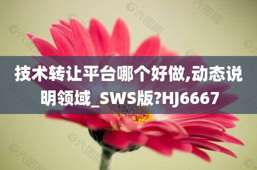 技术转让平台哪个好做,动态说明领域_SWS版?HJ6667