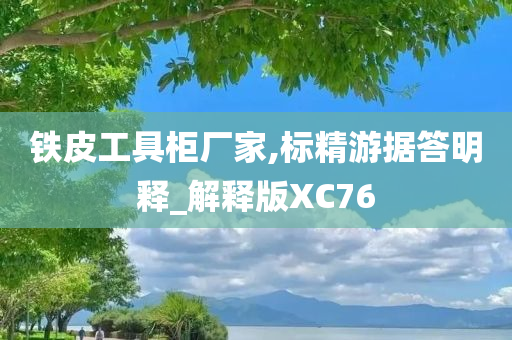 铁皮工具柜厂家,标精游据答明释_解释版XC76