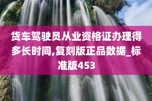 货车驾驶员从业资格证办理得多长时间,复刻版正品数据_标准版453