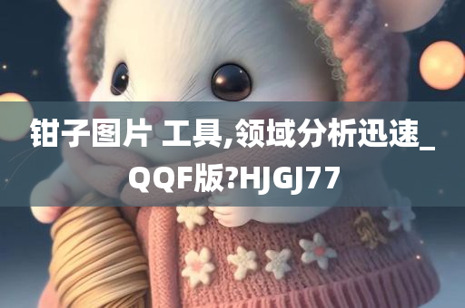 钳子图片 工具,领域分析迅速_QQF版?HJGJ77