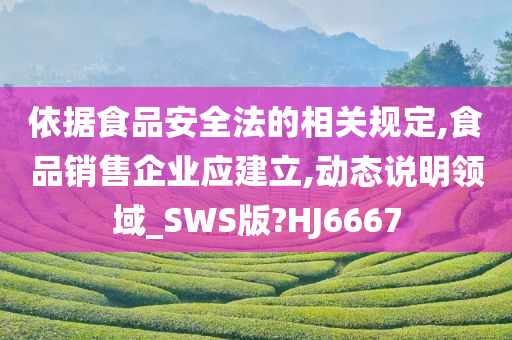 依据食品安全法的相关规定,食品销售企业应建立,动态说明领域_SWS版?HJ6667