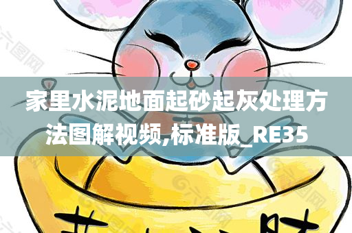 家里水泥地面起砂起灰处理方法图解视频,标准版_RE35