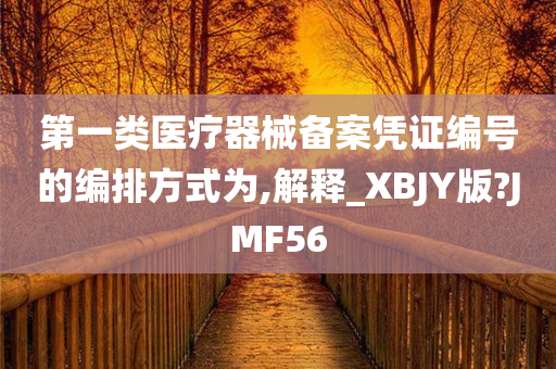 第一类医疗器械备案凭证编号的编排方式为,解释_XBJY版?JMF56