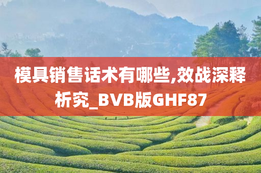 模具销售话术有哪些,效战深释析究_BVB版GHF87