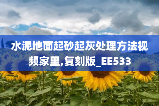 水泥地面起砂起灰处理方法视频家里,复刻版_EE533